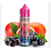 Blue-Dy Boy - 0mg 50ml - Modjo by Liquidarom - ShortfillBlue-Dy Boy - 0mg 50ml - Modjo by Liquidarom - Shortfill50ml 50PG | 50VG Fruity Blackcurrant Blood orange made in France- Geschmack: Schwarze Johannisbeere / Blutorange- PG/VG-Verhältnis: 50/50- Ohne Wasser, ohne Alkohol- Inhalt: 50ml netto (70ml Flasche)- Garantiert diacetylfrei, parabenfrei, ambroxfrei.- Flakon Chubby Gorilla- Herkunft: Frankreich- Marke : Modjo Vapor - LiquidaromGeschmack:Liquidarom Modjo Vapors ist eine Sammlung von e-Liquids, die in Frankreich vom Labor Liquidarom, einem anerkannten Akteur in der Vaporisationsindustrie, hergestellt werden. Diese e-Liquids sind in 50 ml-Flaschen abgefüllt und haben ein PG/VG-Verhältnis, das je nach Referenz variiert (40/60 oder 50/50 PG/VG). Das Sortiment bietet eine große Vielfalt an Aromen, von fruchtigen Mischungen bis hin zu Gourmetkompositionen, wobei einige Referenzen auch frische Aromen enthalten.16542Liquidarom High Quality French Vapors18,90 CHFsmoke-shop.ch18,90 CHF