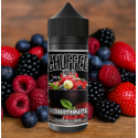 Chuffed Fruits - Forest Fruits 0mg 100ml Shortfill E-Liquid