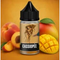 Cassiopée Concentré Astrale Curieux 30ml - Aroma (DIY)