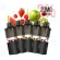 Vozol - Vista Plug Pods ( 1 x vorgefüllte Pod 2ml +10ml Nachfüllbehälter)
