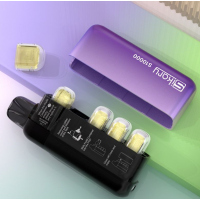SKE Sikary S10000 Disposable Vape - 2ml Pod + 8x (18ml) Liquid Pods - USB CDas Sikary S10000 Kit ist die nächste Generation des Dampfens – ein durchdachtes Hybrid-System, das Einwegkomfort mit Nachhaltigkeit kombiniert. Mit 18 ml Premium-Liquid (1x Pod + 8x Nachfüllbehälter) und einem wiederverwendbaren Akku erreichst du bis zu 10.000 Züge – ganz ohne Kompromisse bei Geschmack oder Dampfentwicklung. Kirsche Eis: Mit süßer Kirsche beim Einatmen und kühlem Eis beim Ausatmen.Himbeer-Minze: Kühlt den spritzigen Geschmack von Himbeeren mit blumigen Noten von kühler Minze.Strawberry Ice: Bringt süße Erdbeernoten auf Eis.Cola: Erinnert an den sprudelnden Geschmack einer klassischen Cola.Blaubeere-Himbeere: Spielt zwischen süß und sauer mit einer kühnen Kombination aus Blaubeeren und Himbeeren.Zitrone-Limette: Liefert den spritzigen Geschmack von Zitrone und Limette.Dreifache Mango: Der reife Geschmack von Mango sorgt für saftige Noten von Anfang bis Ende.Kiwi-Passionsfrucht: Kombiniert süße Passionsfrucht mit saftigen Kiwi-Noten.Bull Ice: Fängt den ausgeprägt fruchtigen Geschmack eines gekühlten Energydrinks ein.Mineralwasser: Liefert eine subtile und kühle Mischung aus Minze und Eisnoten.Vanille-Tabak: Bietet erdige Tabaknoten mit einer süßen Vanilleschicht.Wassermelone Eis: Verbindet süße Wassermelone und kühles Eis mit jedem Zug.Kokosnuss-Melone: Verbindet cremige Kokosnuss mit einem süßen und saftigen Melonengeschmack.Wassermelone-Erdbeere: Eine Mischung aus süßer Erdbeere und knackiger Wassermelone.Menthol: Liefert den süßen, aber kühlen Geschmack von Menthol vom Einatmen bis zum Ausatmen. Legal nach neuem schweizerischem Tabakgesetz (2ml Pod) + 8x Nachfüllkartuschen à 2ml) Nachfüllflüssigkeit15645Sikary - Disposable Vape -22,90 CHFsmoke-shop.ch22,90 CHF
