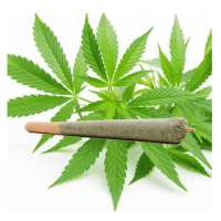 Pre-roll CBD - 0.2% - Vorgerollte CBD mit FilterLieferumfang: 1x Pre-roll CBD - 0.2% - Vorgerollte CBD mit FilterDie CBD-Trimms bieten Ihnen eine kostengünstige Alternative zu CBD-Blüten, um die Vorteile von Cannabidiol voll auszuschöpfen.Die angebotene CBD-Trimmung ist 100% legal mit einem THC-Gehalt von weniger als 0,2%.14354ZUYA Swiss CBD3,50 CHFsmoke-shop.ch3,50 CHF