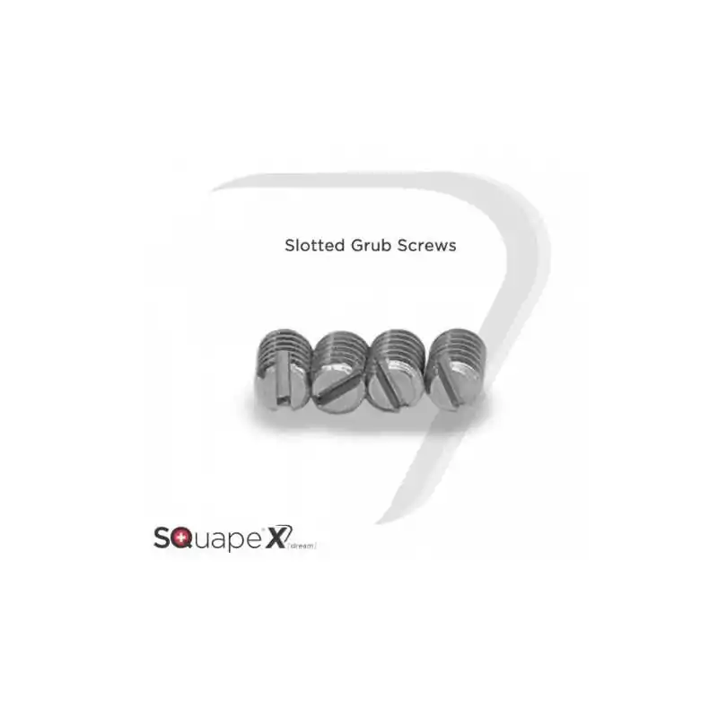 4x Schlitz-Madenschrauben für den Squape[x]dreamSchlitz-Madenschrauben für den SQuape X[dream]Edelstahl INOX A1 M 2 x 3Lieferumfang: 4 Stück2388Stattqualm / Squape0,50&nbsp;CHFsmoke-shop.ch0,50&nbsp;CHF