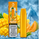 Geek Bar Pro - Disposable -20 mg - Aloe Mango Melon Ice