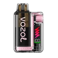 Vozol - Vista Plug Kit - 650 mAH - USB C- Wiederaufladbar - Pods austauschbar