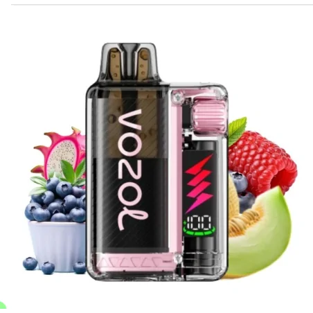 Vozol - Vista Plug Kit - 650 mAH - USB C- Wiederaufladbar - Pods austauschbar