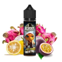Exotic Frog 0mg 50ml - Reborn Animal - 0mg - ShortfillEin exotisches Trio, das die Süße der Drachenfrucht, die intensive Leidenschaft und die Säure der Yuzu vereint.Exotic Frog 0mg 50ml - Reborn Animal - 0mg - ShortfillMarke Reborn AnimalMarke Reborn AnimalLand FrankreichGeschmacksrichtung GourmandePG/VG-Verhältnis 40/60Verpackung 70-ml-PE-Flasche mit kindersicherem VerschlussInhalt 50 mlNikotingehalt 0 mg17341Reborn Animal18,90&nbsp;CHFsmoke-shop.ch18,90&nbsp;CHF