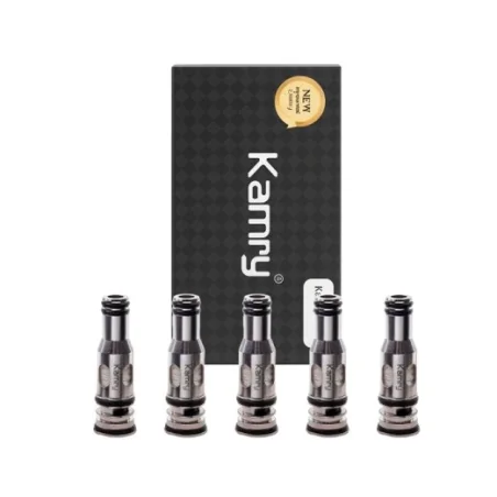 Coils P6 0.5 Ohm (5 Stück) - Kamry - Verdampferköpfe