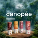 Sample - Gratismuster Liquid - 10ml - Curieux - canopée - 0 mg