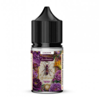 Aroma - 30 ml - La Fourmi - Les Pollinisateurs von Protect (DIY)Mit La Fourmi aus der Les-Pollinisateurs-Serie von Protect erwartet dich eine fruchtige Kombination aus Himbeere und Heidelbeere. Die Mischung verbindet die leicht säuerliche Frische reifer Himbeeren mit dem süsslich-aromatischen Geschmack von Heidelbeeren zu einem ausgewogenen Beerenprofil.Das 30-ml-DIY-Konzentrat wird in Frankreich hergestellt und ist für das individuelle Anmischen von E-Liquids vorgesehen. Das Aroma enthält kein Nikotin und darf nicht pur gedampft werden.GeschmackHimbeereHeidelbeereFruchtigVerwendung:&nbsp;Vor Gebrauch mit einer geeigneten Base mischen.17805Protect - Frankreich14,90&nbsp;CHFsmoke-shop.ch14,90&nbsp;CHF