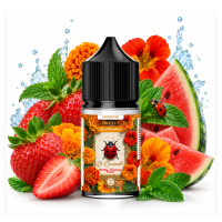 Aroma -30 ml - La Coccinelle - Les Pollinisateurs von Protect (DIY)La Coccinelle aus der Serie Les Pollinisateurs von Protect ist ein in Frankreich hergestelltes DIY-Aromakonzentrat mit fruchtig-frischem Geschmacksprofil.Die Kombination aus Erdbeere, Wassermelone und grüner Minze sorgt für einen saftigen, sommerlichen Mix. Die süsse Erdbeere und die leichte Wassermelone werden durch die Spearmint-Note angenehm aufgefrischt.GeschmackErdbeere, Wassermelone &amp; SpearmintEin fruchtiger Mix aus süsser Erdbeere und saftiger Wassermelone, abgerundet mit einer frischen grünen Minznote. Ideal für Dampfer, die fruchtige Aromen mit einem klaren, erfrischenden Finish mögen.17804Protect - Frankreich14,90&nbsp;CHFsmoke-shop.ch14,90&nbsp;CHF