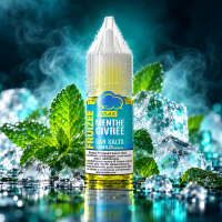 Frosted Mint – Bar Salts – Fruizee Max 10 ml - Nikotinsalz vers. Nikotinstärken