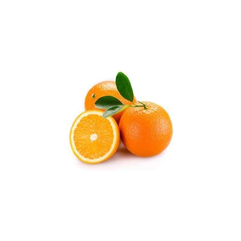 10 ml - Orange - Ellis Lebensmittel Aroma (DIY)Ellis Lebensmittelaroma - OrangeGeschmack: frischer und fruchtiger Geschmack der Orange10ml Flasche3284Ellis Aromen6,40 CHFsmoke-shop.ch6,40 CHF 10 ml - Orange - Ellis Lebensmittel Aroma (DIY)Ellis Lebensmittelaroma - OrangeGeschmack: frischer und fruchtiger Geschmack der Orange10ml Flasche3284Ellis Aromen6,40 CHFsmoke-shop.ch6,40 CHF