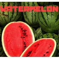 Aroma -Watermelon - 30 ml von Vampire Vape (DIY)Lieferumfang: 1x 30 ml Aroma Watermelon von Vampire VapeHersteller:Vampire VapeGeschmack:FruchtInhalt:10 ml, 30 mlWatermelon&nbsp;Aroma von Vampire Vape in Nachfüllflasche mit Sicherheitsverschluss.Unsere Dosierempfehlung: 10 - 15%Aroma niemals Pur Dampfen3423Vampire Vape12,00&nbsp;CHFsmoke-shop.ch12,00&nbsp;CHF