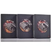 5x Triple Core Clapton Comp Wire von Wotofo - 28+32 GA 0.2 OhmLieferumfang:   5x Vorgebaute Coils :; Triple Core Clapton Comp Wire von Wotofo0.5*3 +0.2mm / 24 +32 GA 0.4 Ohm0.4**30+ 0.2 / 26 + 32 GA 0.30+0.05 Ohm0.3*3+0.2/ 28+32 GA 0.2+0.05 ohm4124Wotofo 3,50 CHFsmoke-shop.ch3,50 CHF