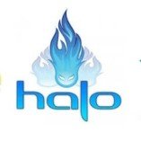HALO Premium-Aromen aus USA 