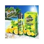 Tropika - Premium Liquids von 77 Liquids Malaysia